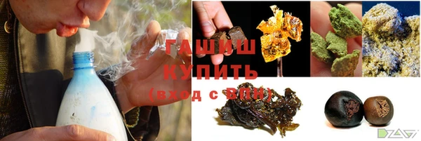 индика Вязники