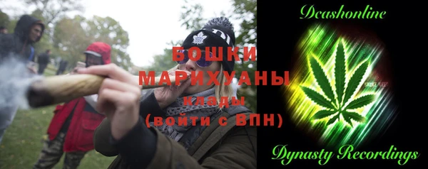 индика Вязники
