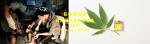 индика Вязники