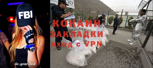 индика Вязники
