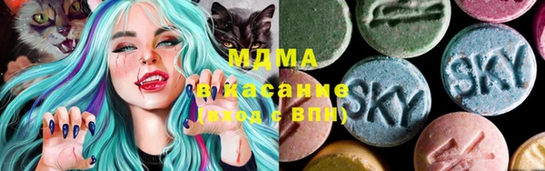 индика Вязники