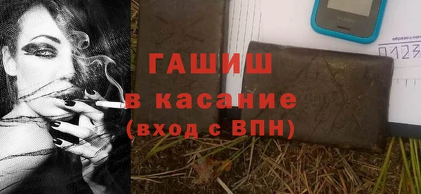 индика Вязники