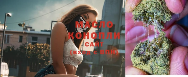 индика Вязники