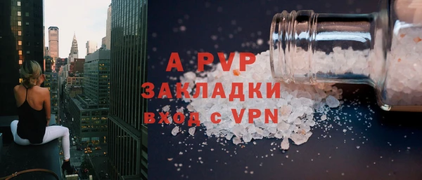 индика Вязники