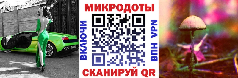 Галлюциногенные грибы Psilocybe  MEGA ONION  Нижневартовск  как найти закладки 